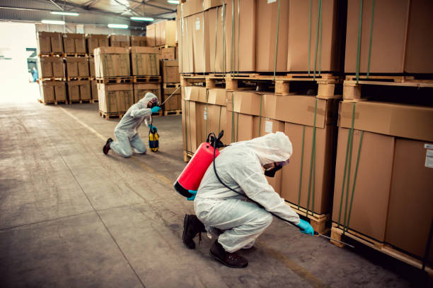 Reliable Leland, NC Pest Control Solutions