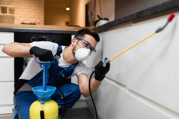 Best Pest Inspection Near Me  in Leland, NC