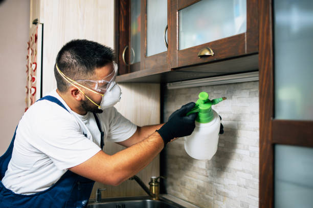 Best Residential Pest Control  in Leland, NC