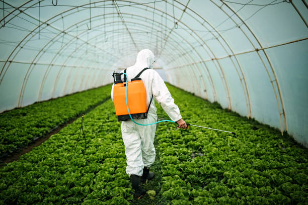 Best Affordable Pest Control Services  in Leland, NC
